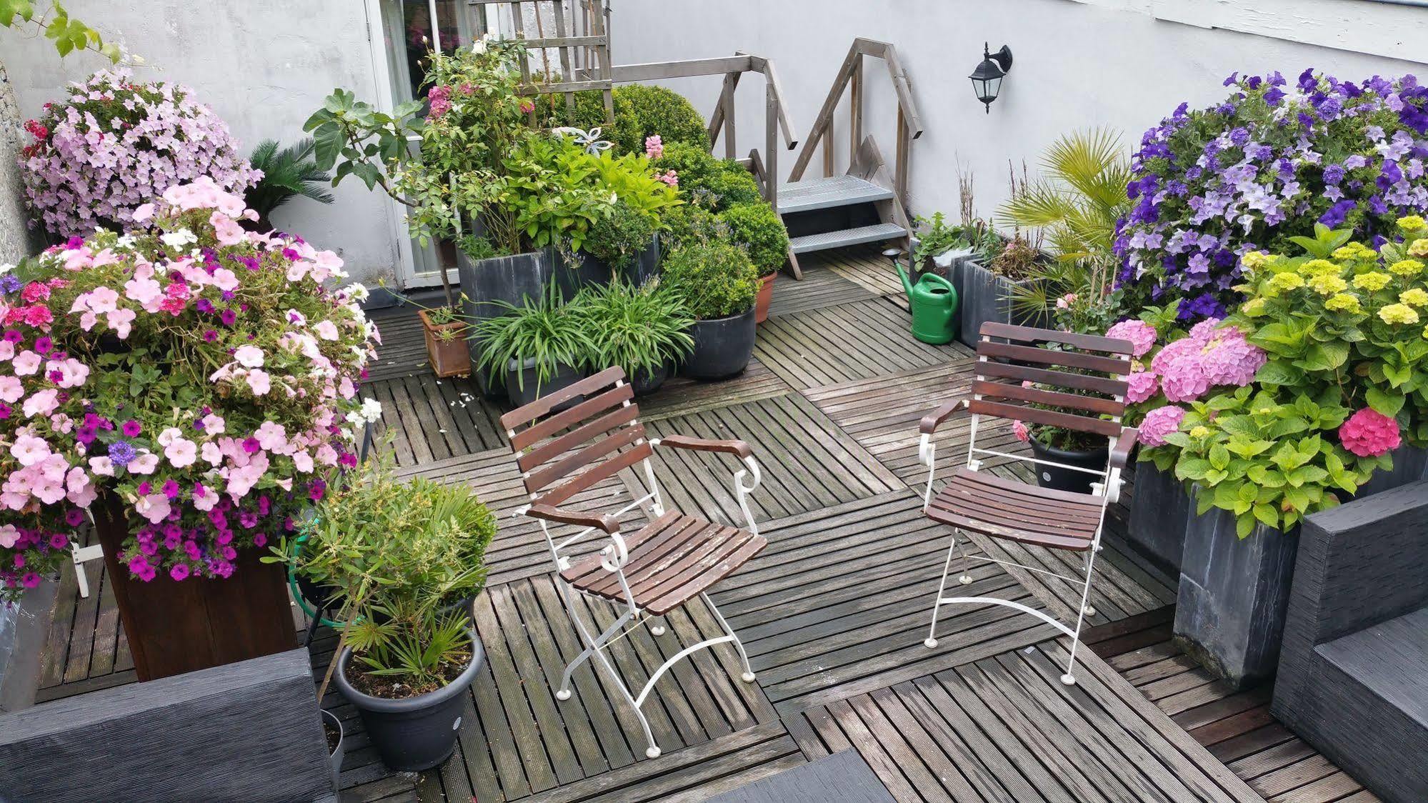 Boutique Hotel Huys Van Leyden المظهر الخارجي الصورة